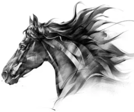 Premier Equestrian Centre